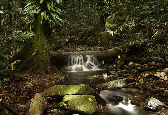 Saving a sacred-site