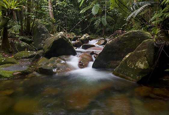 Saving a sacred-site